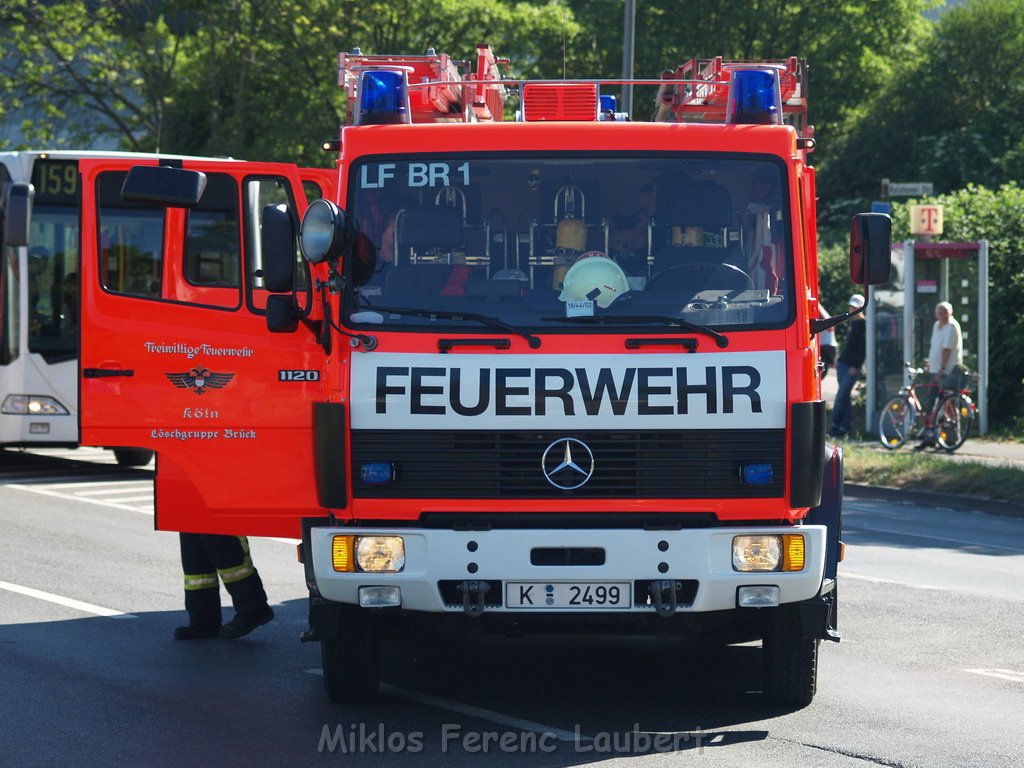 Brand Gebuesch Koeln Gremberg 30.JPG